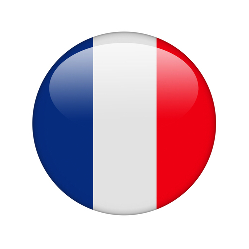 learn the French language
